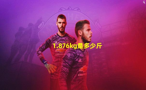 1.876kg是多少斤