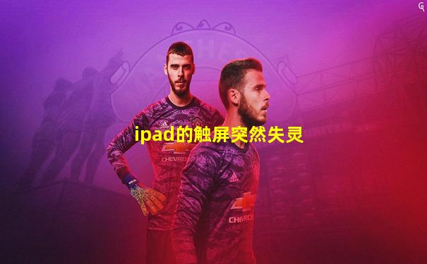 ipad的触屏突然失灵
