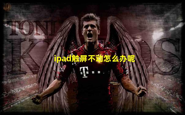 ipad触屏不动怎么办呢