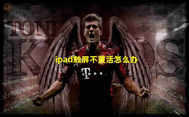 ipad触屏不灵活怎么办