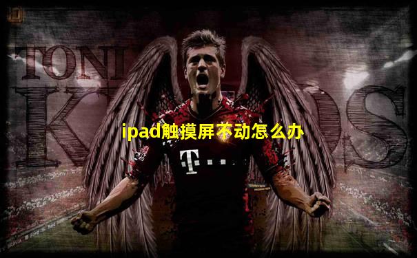 ipad触摸屏不动怎么办