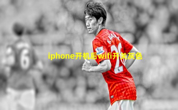 iphone开机后wifi开关灰色