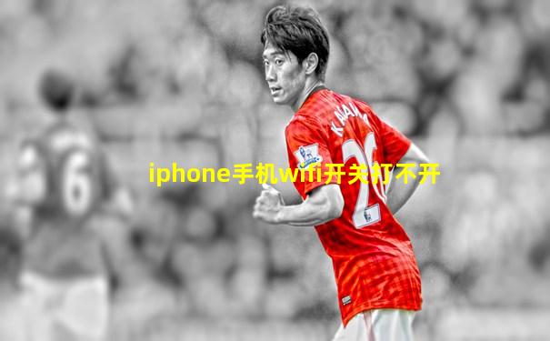 iphone手机wifi开关打不开