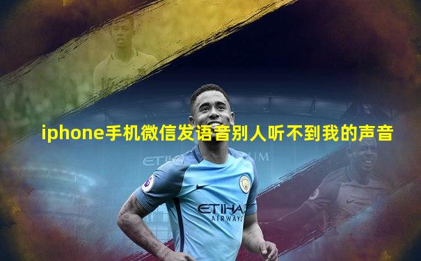 iphone手机微信发语音别人听不到我的声音