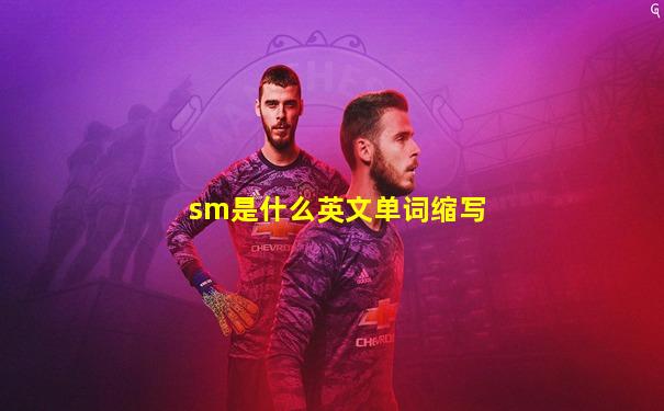 sm是什么英文单词缩写
