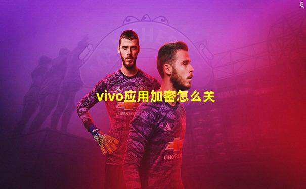 vivo应用加密怎么关