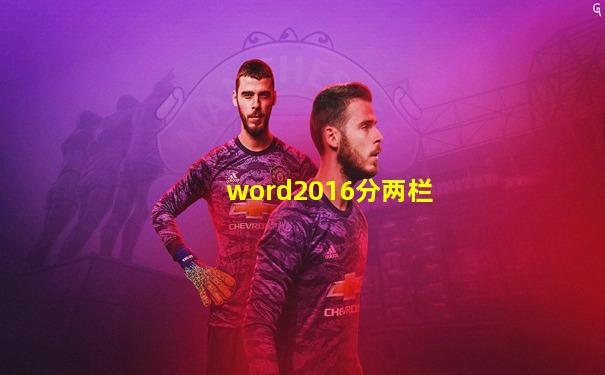 word2016分两栏