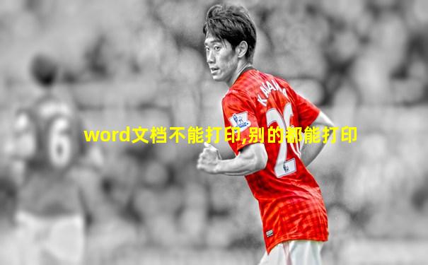 word文档不能打印,别的都能打印