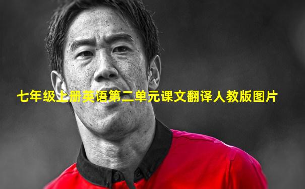 七年级上册英语第二单元课文翻译人教版图片
