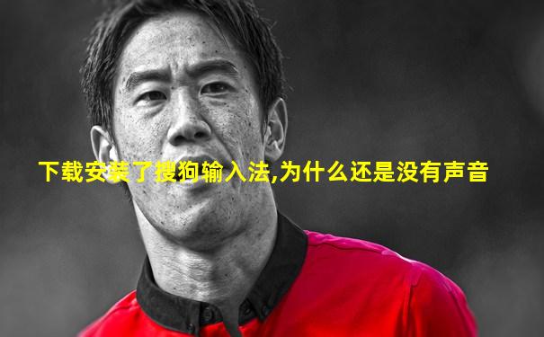 下载安装了搜狗输入法,为什么还是没有声音