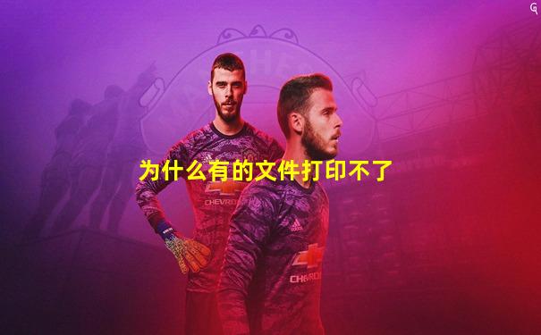 为什么有的文件打印不了