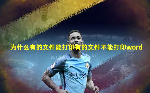 为什么有的文件能打印有的文件不能打印word