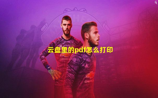 云盘里的pdf怎么打印