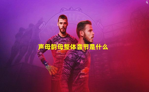 声母韵母整体音节是什么