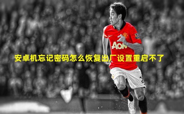 安卓机忘记密码怎么恢复出厂设置重启不了