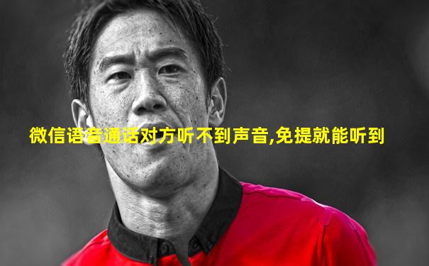 微信语音通话对方听不到声音,免提就能听到
