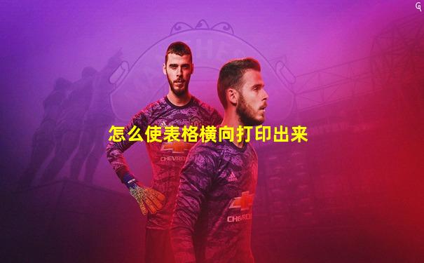 怎么使表格横向打印出来