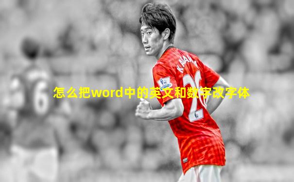 怎么把word中的英文和数字改字体