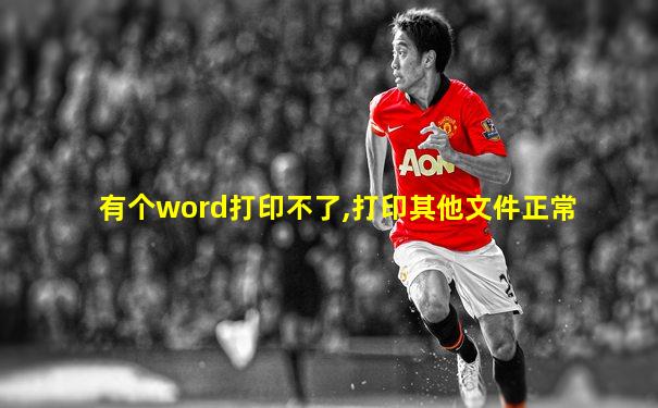 有个word打印不了,打印其他文件正常