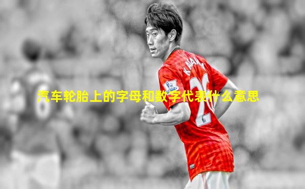 汽车轮胎上的字母和数字代表什么意思