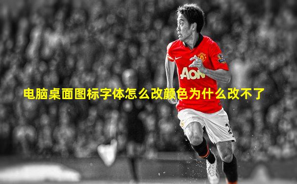 电脑桌面图标字体怎么改颜色为什么改不了