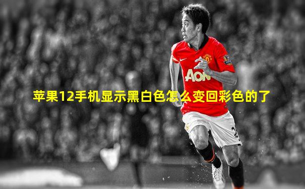 苹果12手机显示黑白色怎么变回彩色的了