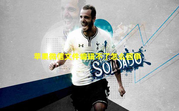 苹果微信文件编辑不了怎么回事