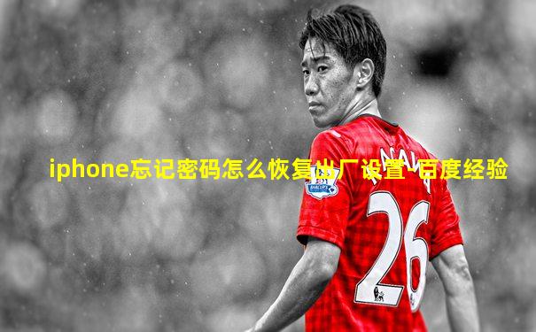 iphone忘记密码怎么恢复出厂设置-百度经验