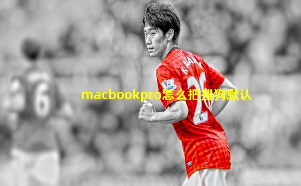 macbookpro怎么把搜狗默认