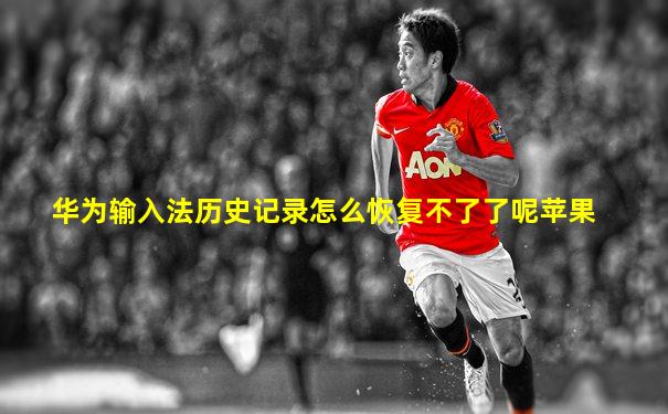 华为输入法历史记录怎么恢复不了了呢苹果