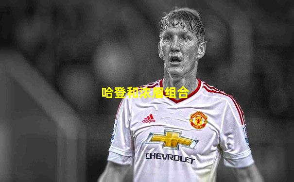 哈登和浓眉组合