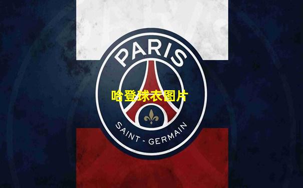 哈登球衣图片
