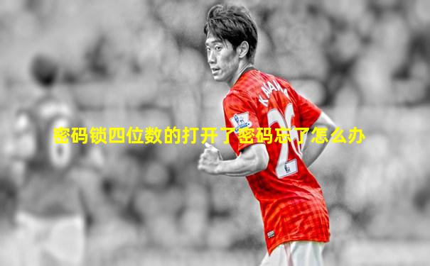 密码锁四位数的打开了密码忘了怎么办
