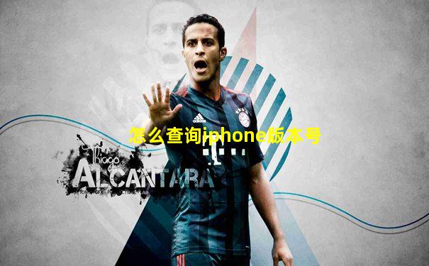 怎么查询iphone版本号