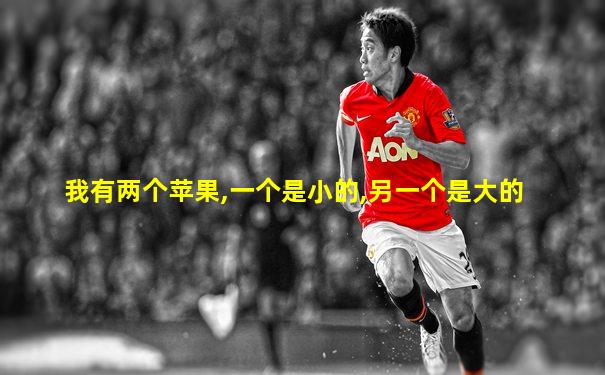 我有两个苹果,一个是小的,另一个是大的