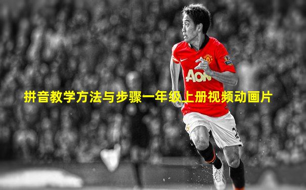 拼音教学方法与步骤一年级上册视频动画片