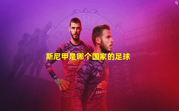 斯尼甲是哪个国家的足球