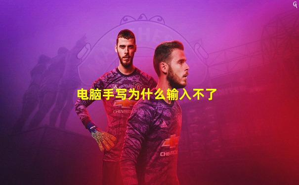 电脑手写为什么输入不了