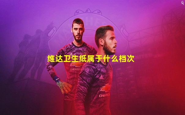 维达卫生纸属于什么档次