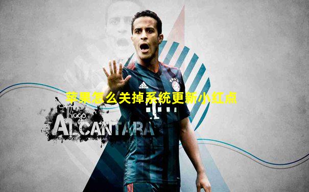 苹果怎么关掉系统更新小红点
