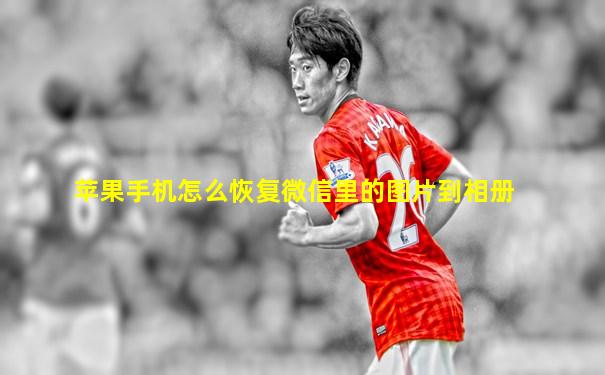 苹果手机怎么恢复微信里的图片到相册