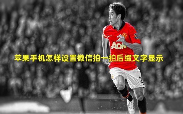 苹果手机怎样设置微信拍一拍后缀文字显示