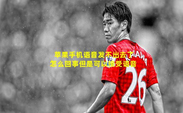 苹果手机语音发不出去了怎么回事但是可以接受语音