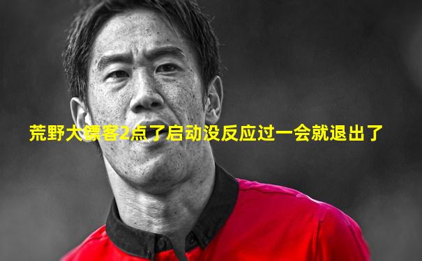 荒野大镖客2点了启动没反应过一会就退出了